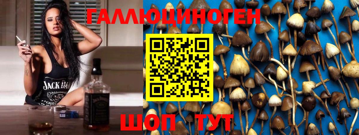 Галлюциногенные грибы Cubensis  Галлюциногенные грибы мухоморы  Вход с VPN  Тольятти 